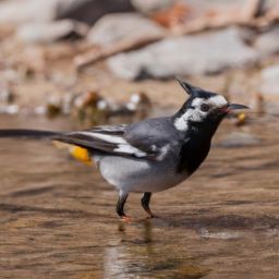 面部美容護(hù)膚步驟及注意事項(xiàng)——打造健康動(dòng)人的肌膚