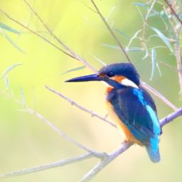 美容護(hù)膚步驟的正確順序及詳解