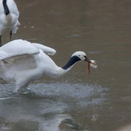 如何正確護(hù)膚，讓你擁有美麗的面容