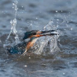 美容護(hù)膚步驟描述準(zhǔn)確的是如何正確進(jìn)行美容護(hù)膚
