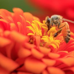 蜂蜜美容護(hù)膚的8個(gè)方法及蜂蜜每天涂臉15天后效果