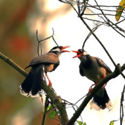美容護(hù)膚話術(shù)：擁有青春明眸，輕松呵護(hù)美麗肌膚