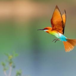 如何正確進(jìn)行美容護(hù)膚全套步驟方法及操作注意事項(xiàng)？