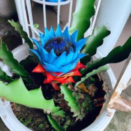 維生素D：美容護膚的秘密武器