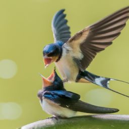 哺乳期可以進行<strong>美容</strong>護膚嗎？女性需注意的事項