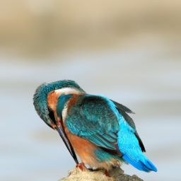 如何選擇適合自己的美容護(hù)膚產(chǎn)品？- 美容護(hù)膚選哪個(gè)好用？