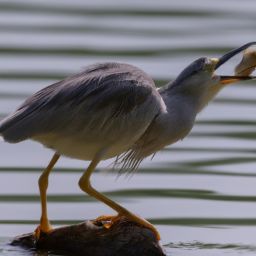 美容護(hù)膚是否必要？美麗與健康的秘訣揭曉！