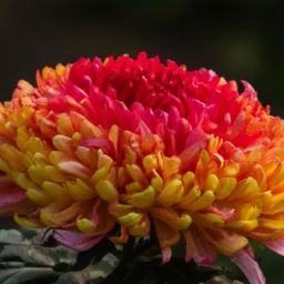 樊文花<strong>美容</strong>護(hù)膚產(chǎn)品怎么樣？知乎網(wǎng)友的評(píng)價(jià)揭秘