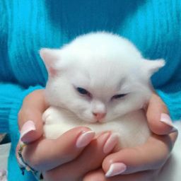 備孕期間可以進(jìn)行<strong>美容</strong>護(hù)膚嗎？如何安全進(jìn)行<strong>美容</strong>護(hù)膚？