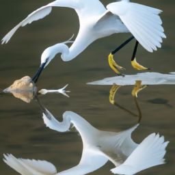 美容護膚禁忌：關(guān)于美容護膚你不能忽視的事項