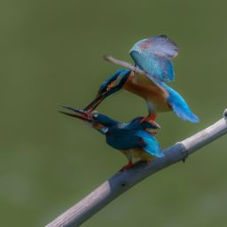 如何獲得美容護膚證及美容護膚證書 - 提升職業(yè)發(fā)展的關(guān)鍵步驟